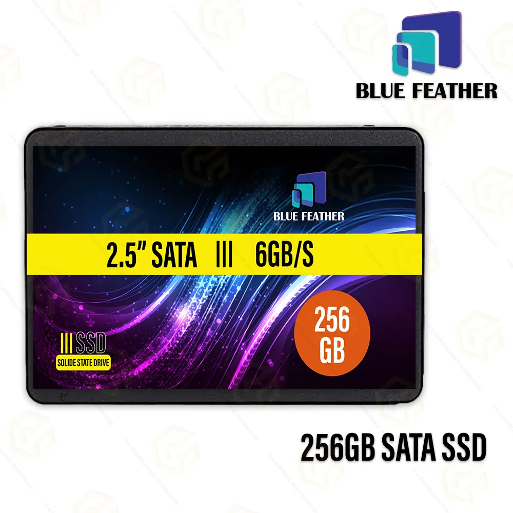 BLUE FEATHER 256GB SSD SATA | 5 YEAR